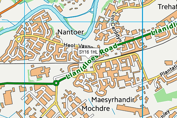 SY16 1HL map - OS VectorMap District (Ordnance Survey)