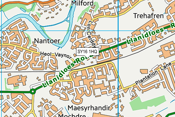 SY16 1HQ map - OS VectorMap District (Ordnance Survey)