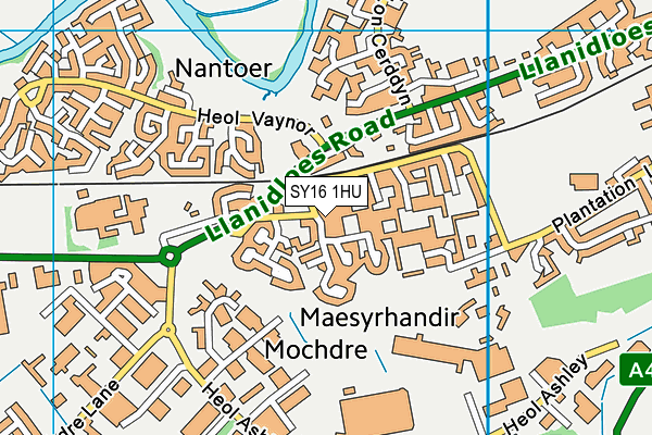 SY16 1HU map - OS VectorMap District (Ordnance Survey)