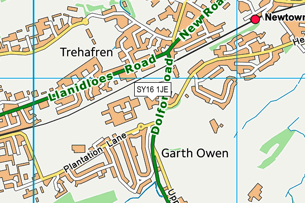 Ysgol Dafydd Llwyd map (SY16 1JE) - OS VectorMap District (Ordnance Survey)