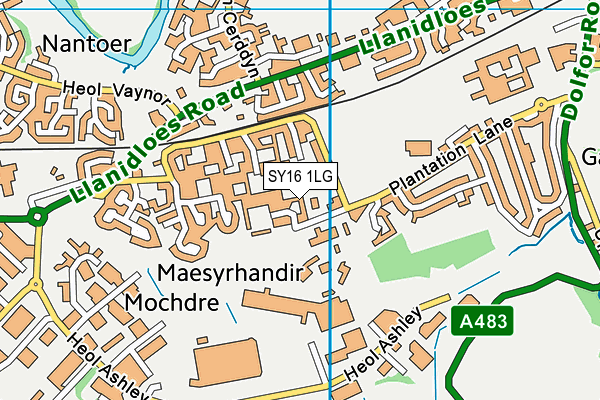 SY16 1LG map - OS VectorMap District (Ordnance Survey)