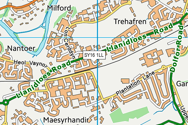 SY16 1LL map - OS VectorMap District (Ordnance Survey)
