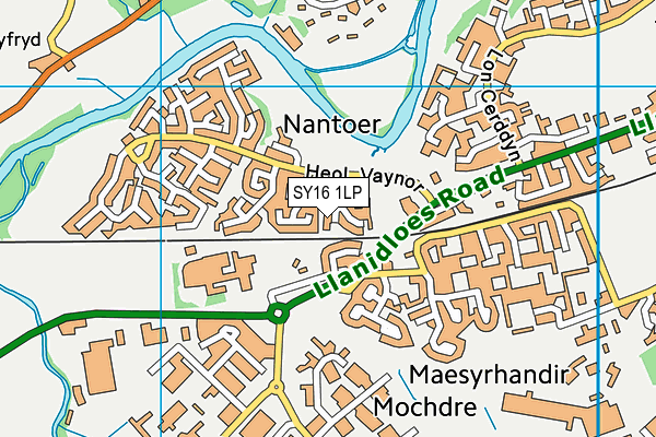 SY16 1LP map - OS VectorMap District (Ordnance Survey)