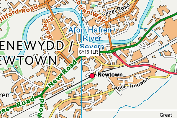 SY16 1LR map - OS VectorMap District (Ordnance Survey)