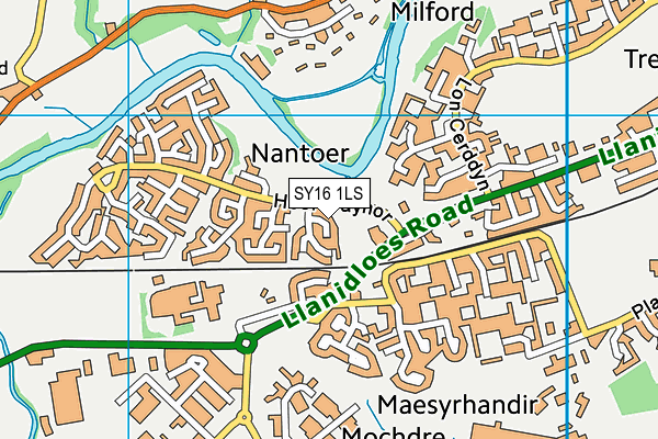 SY16 1LS map - OS VectorMap District (Ordnance Survey)