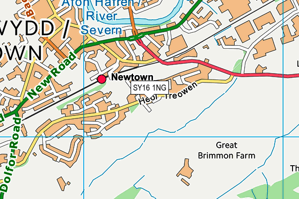 SY16 1NG map - OS VectorMap District (Ordnance Survey)