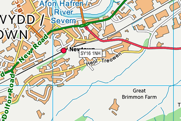 SY16 1NH map - OS VectorMap District (Ordnance Survey)