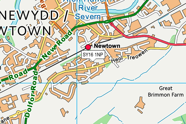 SY16 1NP map - OS VectorMap District (Ordnance Survey)