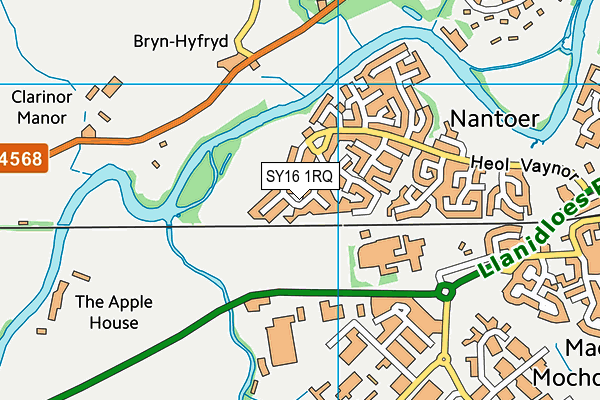 SY16 1RQ map - OS VectorMap District (Ordnance Survey)