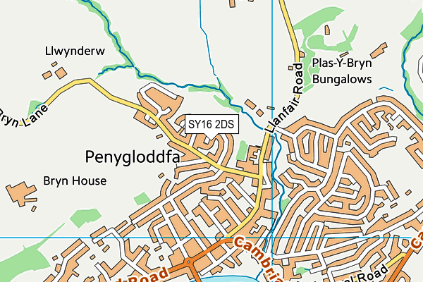 SY16 2DS map - OS VectorMap District (Ordnance Survey)