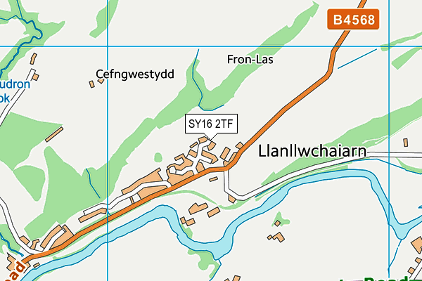 SY16 2TF map - OS VectorMap District (Ordnance Survey)