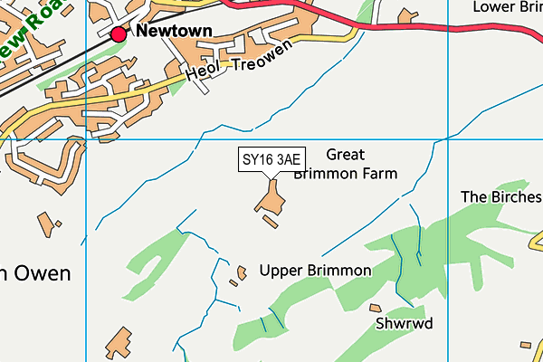 SY16 3AE map - OS VectorMap District (Ordnance Survey)