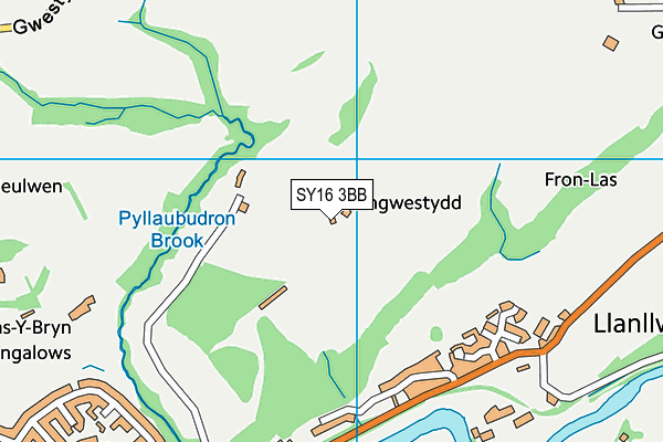 SY16 3BB map - OS VectorMap District (Ordnance Survey)