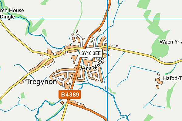 SY16 3EE map - OS VectorMap District (Ordnance Survey)