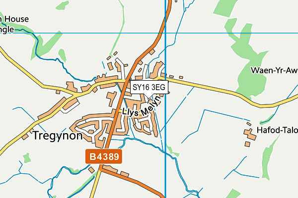 SY16 3EG map - OS VectorMap District (Ordnance Survey)