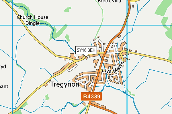 SY16 3EH map - OS VectorMap District (Ordnance Survey)