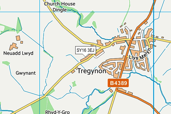 SY16 3EJ map - OS VectorMap District (Ordnance Survey)