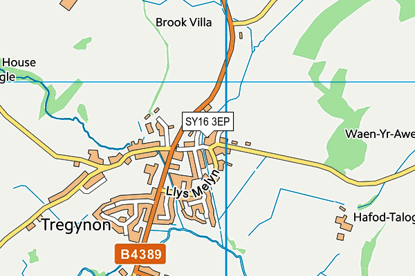 SY16 3EP map - OS VectorMap District (Ordnance Survey)