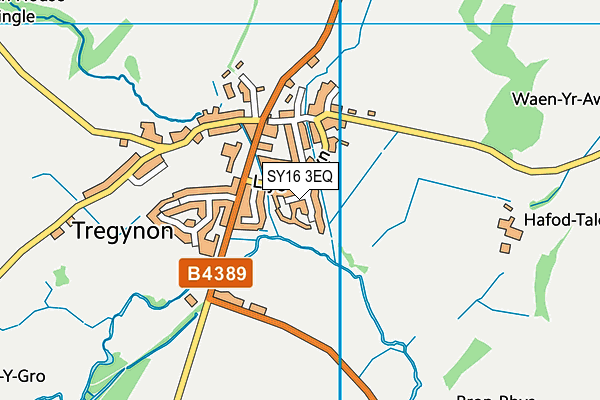 SY16 3EQ map - OS VectorMap District (Ordnance Survey)