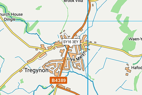 SY16 3EY map - OS VectorMap District (Ordnance Survey)