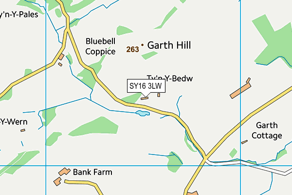 SY16 3LW map - OS VectorMap District (Ordnance Survey)