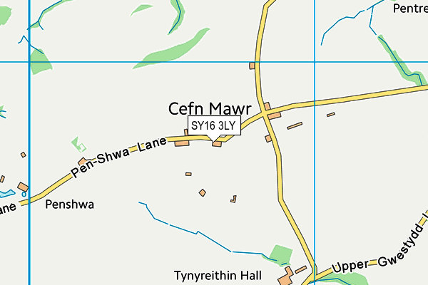 SY16 3LY map - OS VectorMap District (Ordnance Survey)