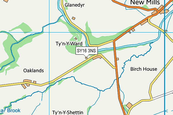 SY16 3NS map - OS VectorMap District (Ordnance Survey)