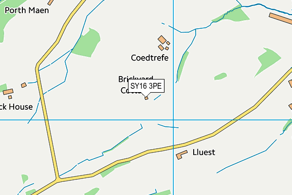 SY16 3PE map - OS VectorMap District (Ordnance Survey)