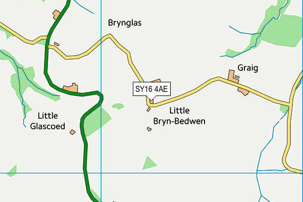 SY16 4AE map - OS VectorMap District (Ordnance Survey)