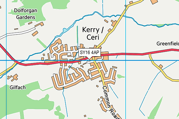 SY16 4AP map - OS VectorMap District (Ordnance Survey)