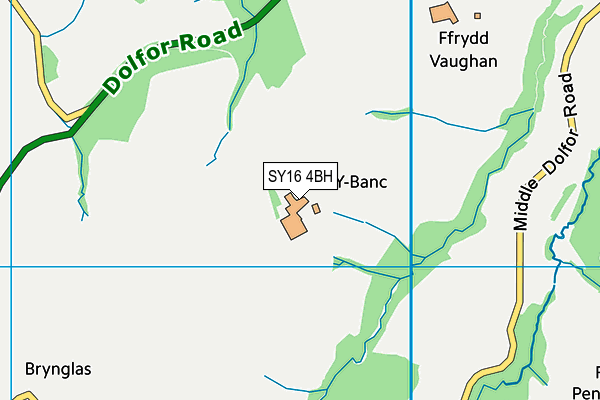 SY16 4BH map - OS VectorMap District (Ordnance Survey)