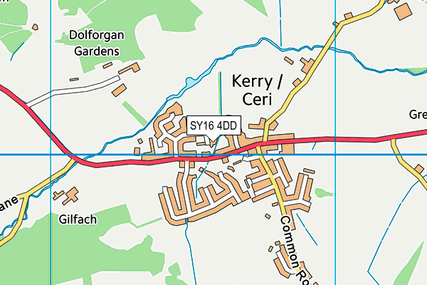 SY16 4DD map - OS VectorMap District (Ordnance Survey)