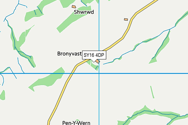 SY16 4DP map - OS VectorMap District (Ordnance Survey)