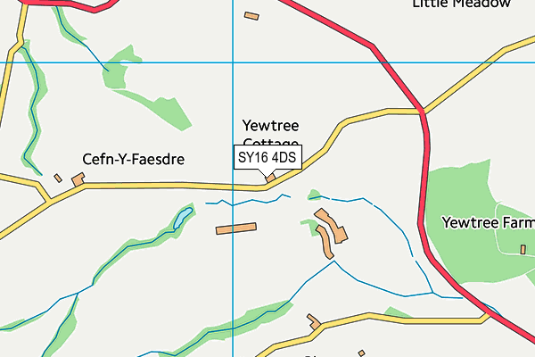 SY16 4DS map - OS VectorMap District (Ordnance Survey)