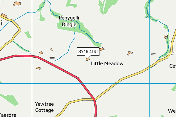 SY16 4DU map - OS VectorMap District (Ordnance Survey)