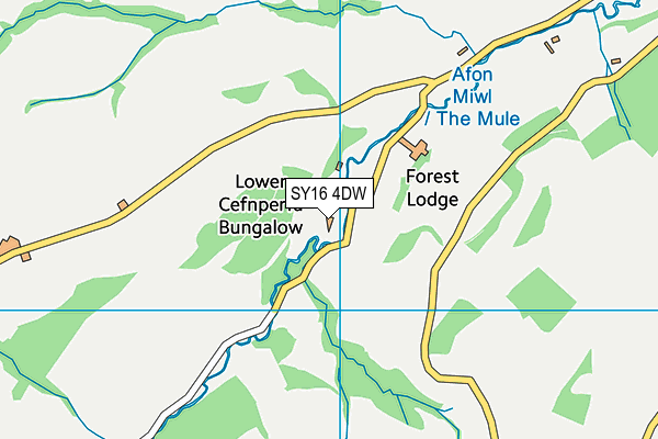 SY16 4DW map - OS VectorMap District (Ordnance Survey)