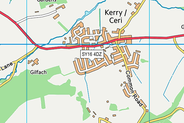 SY16 4DZ map - OS VectorMap District (Ordnance Survey)