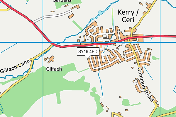 SY16 4ED map - OS VectorMap District (Ordnance Survey)