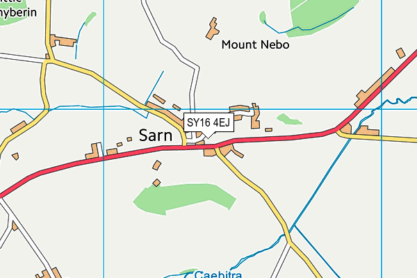 SY16 4EJ map - OS VectorMap District (Ordnance Survey)