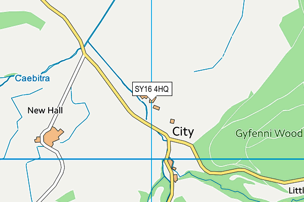 SY16 4HQ map - OS VectorMap District (Ordnance Survey)