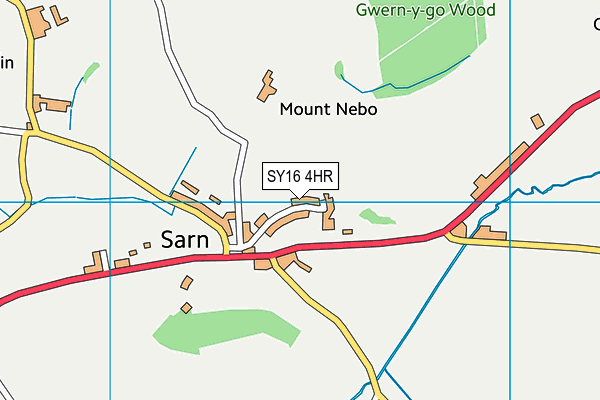 SY16 4HR map - OS VectorMap District (Ordnance Survey)