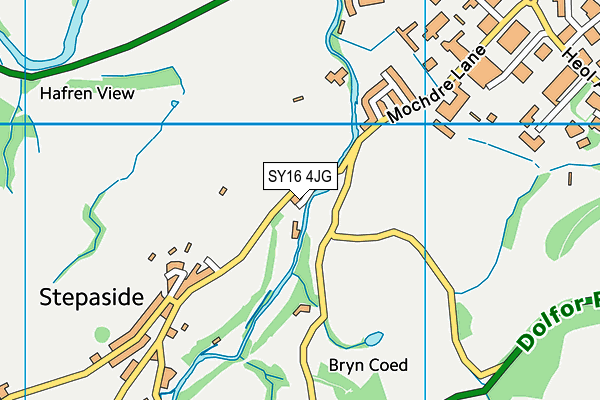 SY16 4JG map - OS VectorMap District (Ordnance Survey)