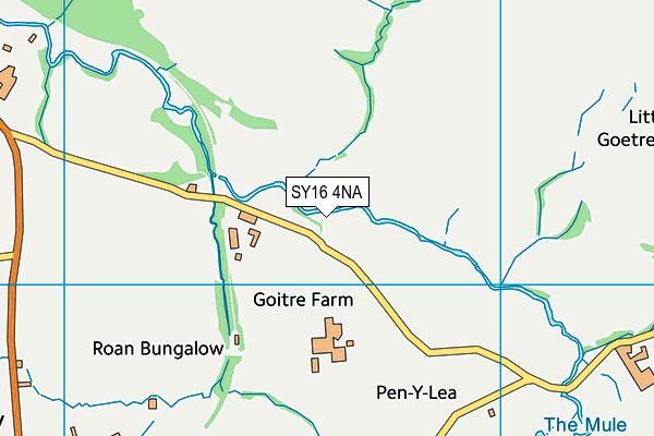 SY16 4NA map - OS VectorMap District (Ordnance Survey)