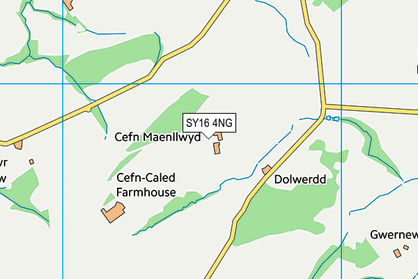 SY16 4NG map - OS VectorMap District (Ordnance Survey)