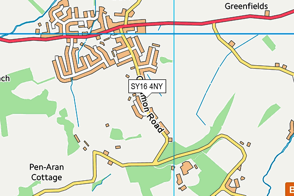 SY16 4NY map - OS VectorMap District (Ordnance Survey)