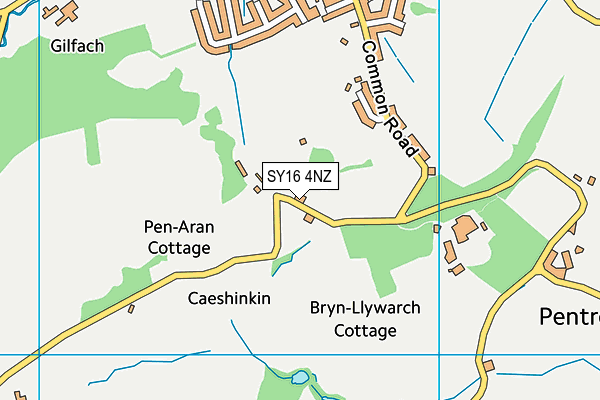 SY16 4NZ map - OS VectorMap District (Ordnance Survey)