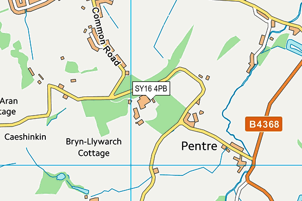 Brynllywarch Hall School map (SY16 4PB) - OS VectorMap District (Ordnance Survey)