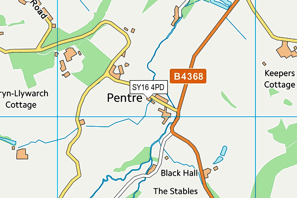 SY16 4PD map - OS VectorMap District (Ordnance Survey)