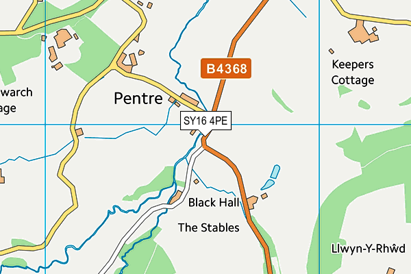 SY16 4PE map - OS VectorMap District (Ordnance Survey)