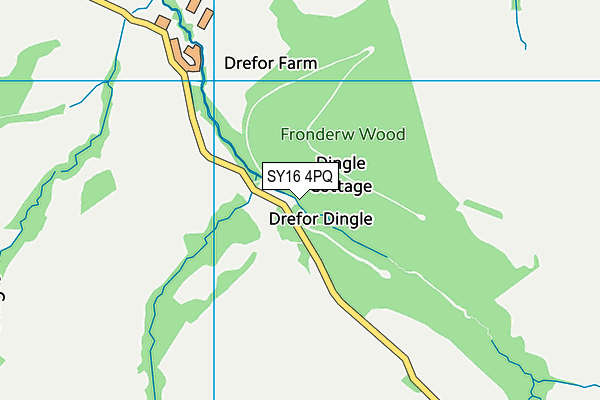 SY16 4PQ map - OS VectorMap District (Ordnance Survey)